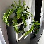 Butik Apartmanhaz *
